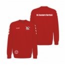 SG ZB Hummel Go Cotton Sweatshirt Kids true red