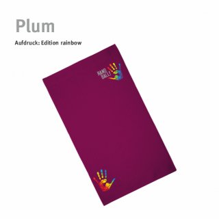 Gstetuch Handball!-Collection plum rainbow